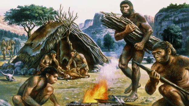 Every human evolution: Homo Erectus using fire to make tools