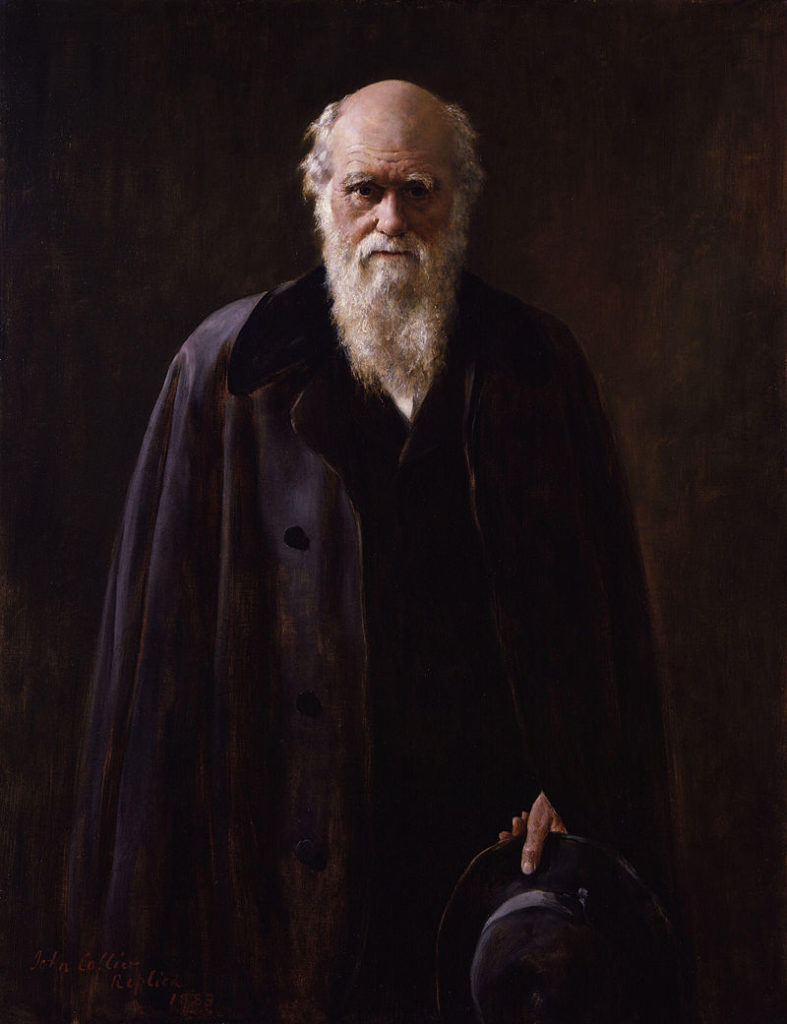 Charles Darwin portrait