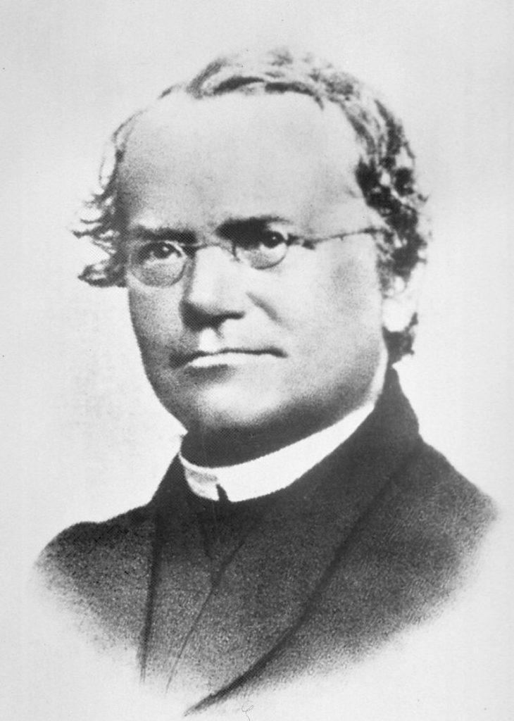 Gregor Mendel portrait