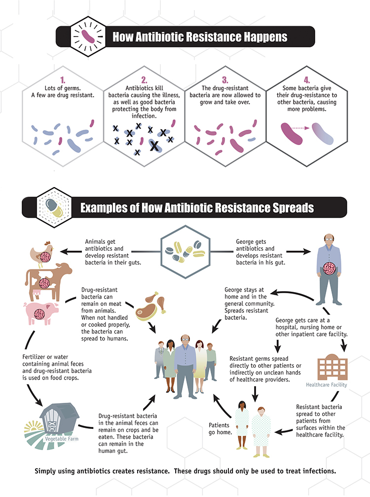 A CDC infographic on how antibiotic resistance (a major type of antimicrobial resistance) happens and spreads.